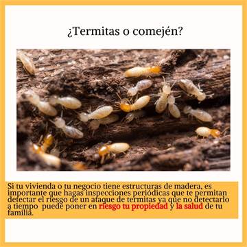 "Fumigación residencial efectiva para eliminar plagas. Servicios profesionales y seguros. ¡Llámenos 