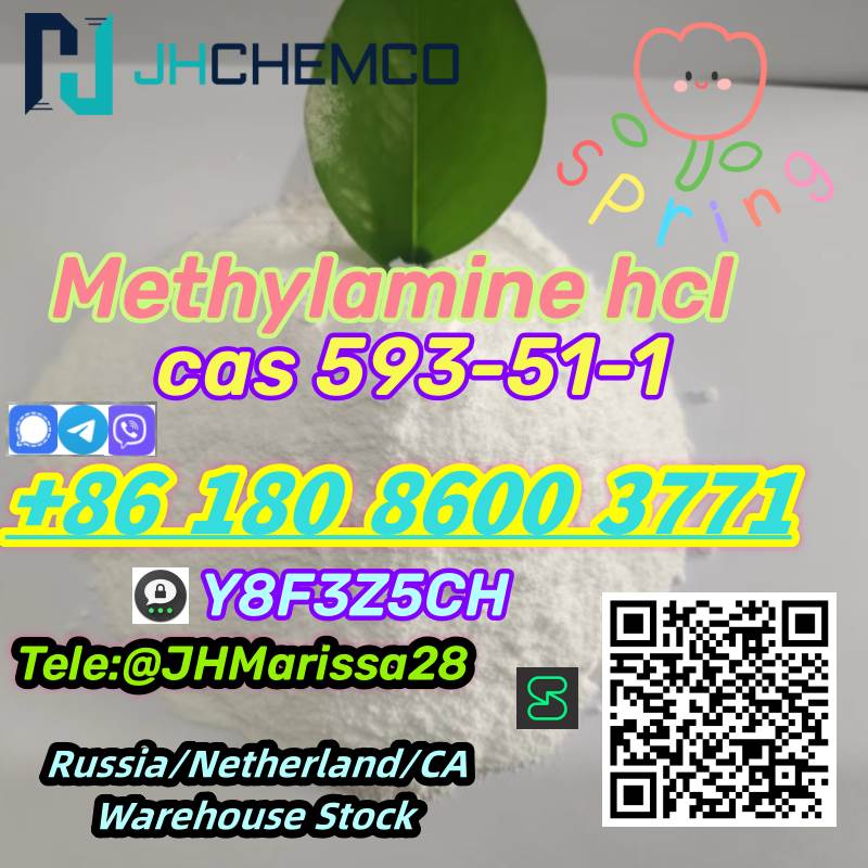 CAS 593-51-1 Methylamine hydrochloride   Threema: Y8F3Z5CH		