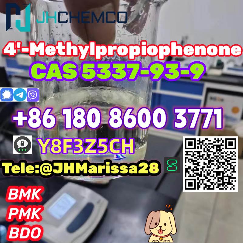 Top Sale CAS 5337-93-9 4'-Methylpropiophenone Threema: Y8F3Z5CH		