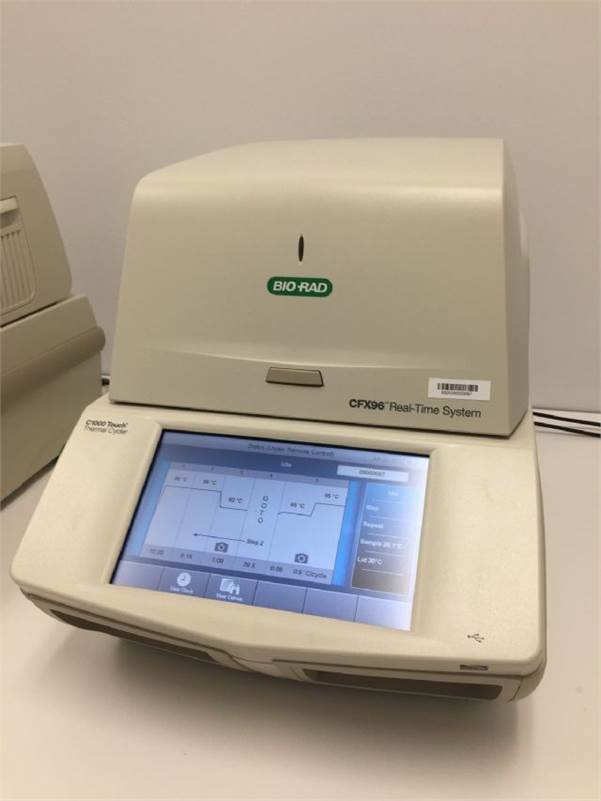 BioRad CFX96 Touch Real-Time PCR Machine - New