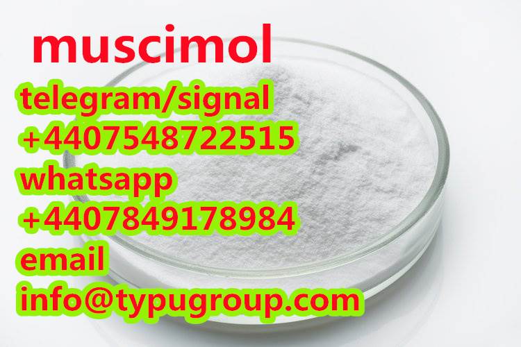 quick and safe shipping Muscimol cas 2763-96-4 telegram/signal+4407548722515