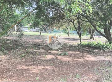 Se Vende Terreno de 9,144 m2 en Corozal, Ancón