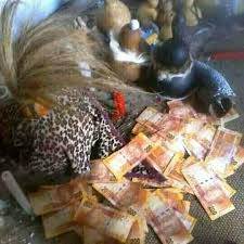 Extra Super Mystic witchcraft Money Spell Caster Call / WhatsApp +27722171549 