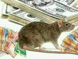 Spiritual Rats / Short Boys (Amagudwane) That Brings Money, For Hire Call / WhatsApp: +27722171549